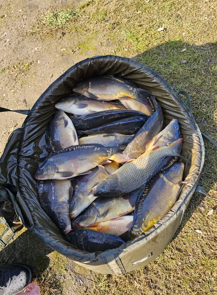 Sezon 2025 WhatsApp 103